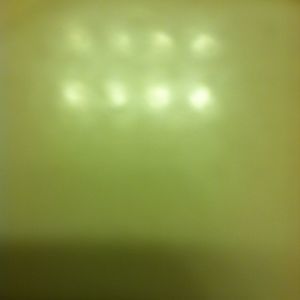 Meet your Posher, Mattie ann